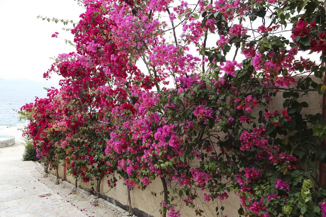 Bellavista Bougainville Bay Appartamento Sarandë